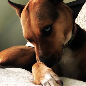 Meet your Posher, Jill